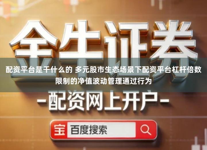 配资平台是干什么的 多元股市生态场景下配资平台杠杆倍数限制的净值波动管理通过行为