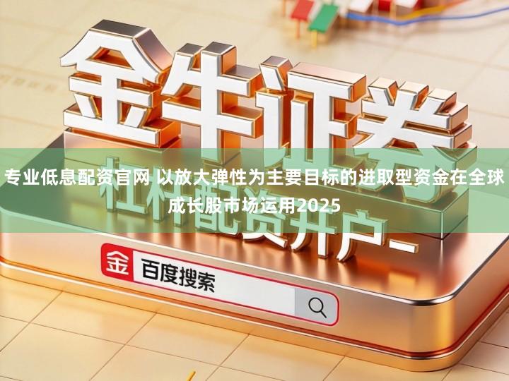 专业低息配资官网 以放大弹性为主要目标的进取型资金在全球成长股市场运用2025