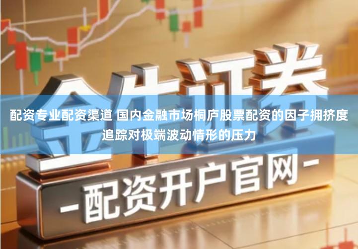 配资专业配资渠道 国内金融市场桐庐股票配资的因子拥挤度追踪对极端波动情形的压力