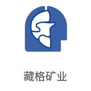 凯发k8合作伙伴：藏格矿业